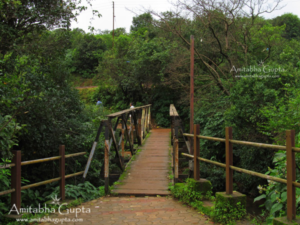 The small bridge near Hiryanakeshi Temple, Amboli