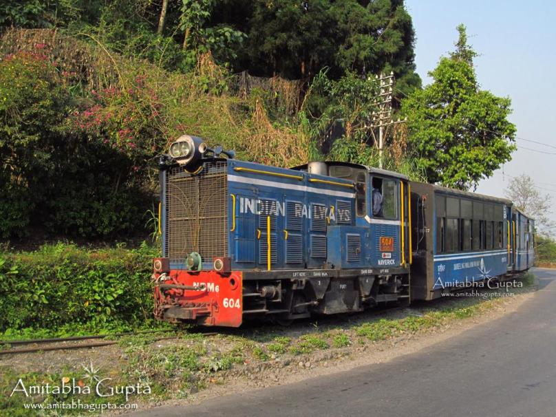 The Darjeeling Himalyan Railway was built between 1879 -1881
