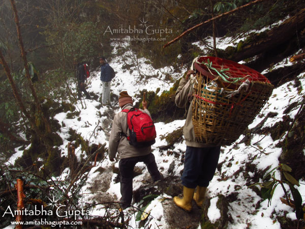 Snow filled path from Kokchuran to Phedang traversing Dzongri